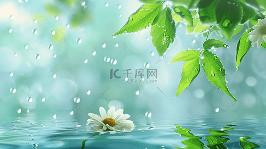 水背景图片_清新春天雨中的枝叶花朵背景