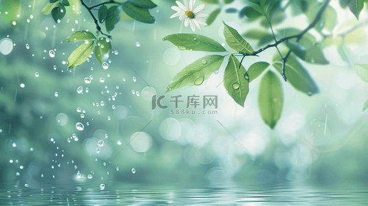 雨滴背景图片_清新春天雨中的枝叶花朵背景