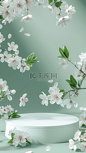 浅绿清透质感春天3D梨花花枝电商展台图片