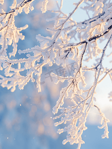 aigc冬至摄影照片_内蒙古冬季树挂雪景特写