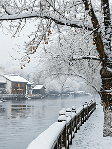 中国古韵摄影照片_西塘雪景小雪