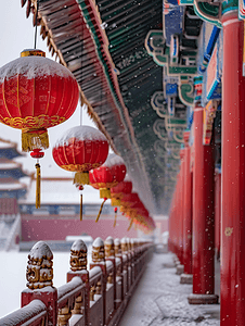 红火灯笼摄影照片_北京故宫红灯笼之雪