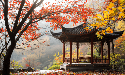 长沙岳麓山爱晚亭秋景