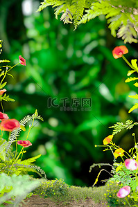 春天植物花卉绿色3D立体场景仿摄影展台