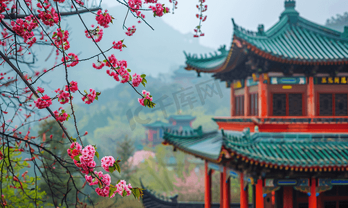 中国风古典花摄影照片_春天南京清凉山崇正书院的植物绣球花与古代建筑