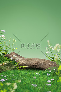 春季3d背景图片_春季植物花草绿色3D立体背景仿摄影展台