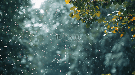 下雨背景图片_春天绿色雨季山河风景树叶景色的背景