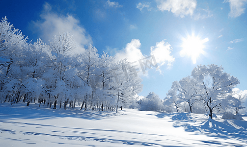 树挂摄影照片_吉林雪岭冰雪风光