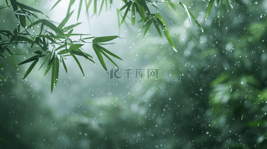 雨季背景图片_绿色雨季竹叶背景