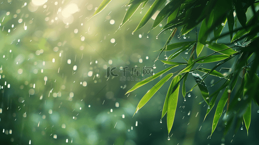 绿色雨季竹叶背景