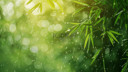 雨季背景图片_绿色雨季竹叶背景