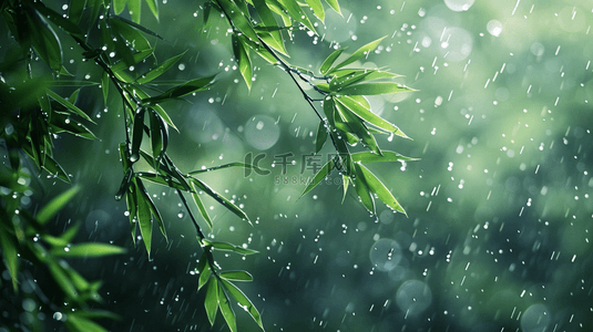 雨季背景图片_绿色雨季竹叶背景