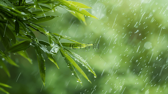 雨季背景图片_绿色雨季竹叶背景