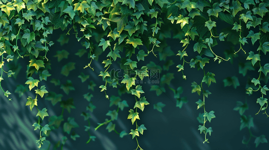 绿色的墙背景图片_绿色简约墙面上树叶叶片纹理风格的背景