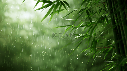 绿色雨季竹叶背景