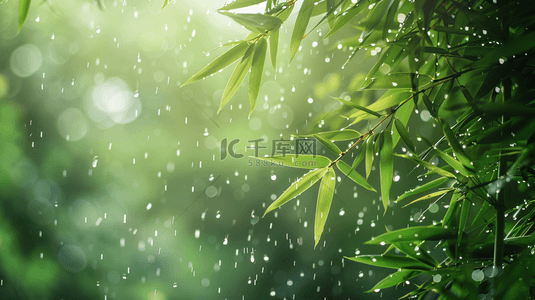 雨季背景图片_绿色雨季竹叶背景