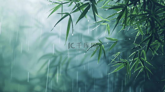 雨季背景图片_绿色雨季竹叶背景