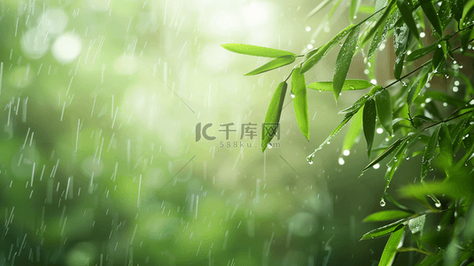 绿色雨季竹叶背景