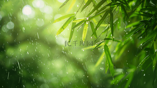 雨季背景图片_绿色雨季竹叶背景