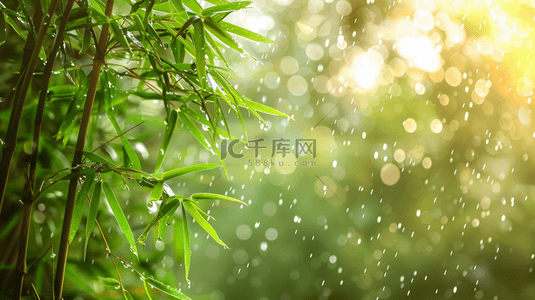 绿色雨季竹叶背景