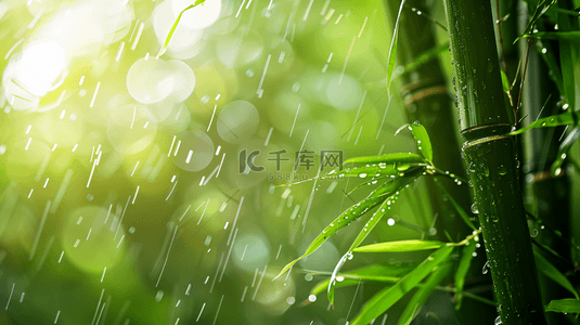 绿色雨季竹叶背景