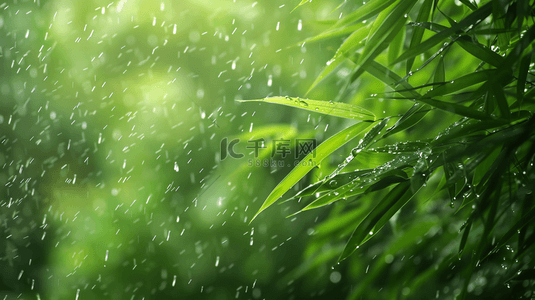 雨季背景图片_绿色雨季竹叶背景