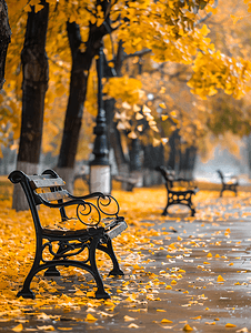秋季下雨天公园里的长凳银杏落叶