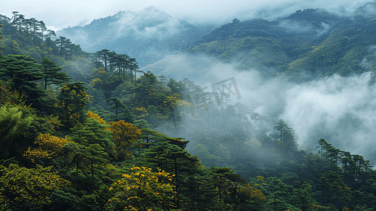 山脉瀑布树木自然风景的摄影实拍图