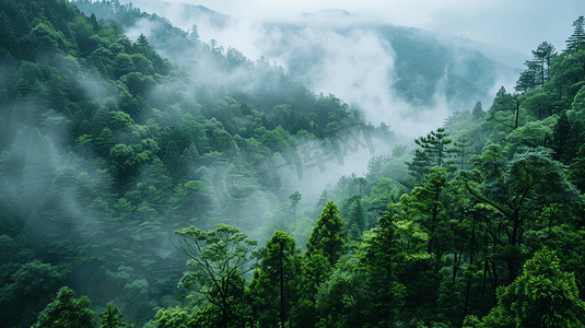 山脉瀑布景色山区树木植物云雾自然风景的摄影实拍图