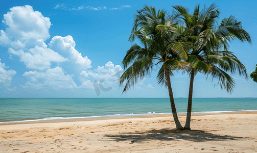沙滩摄影照片_旅游景点海南海边椰子树高清海滩