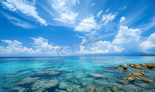 ps花海平面摄影照片_唯美蓝天白云下的花朵花海自然风景