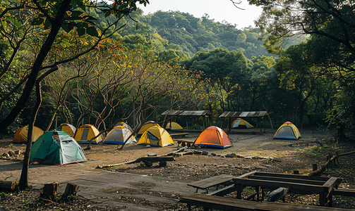 树林光影摄影照片_温州永嘉树林里的帐篷下午帐篷公园无摄影图