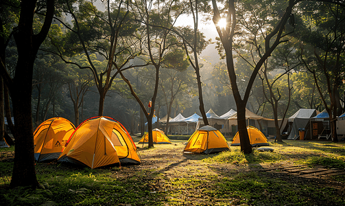 温州永嘉树林里的帐篷下午帐篷公园无摄影图