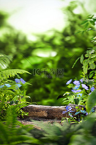 背景绿植背景图片_夏季植物草坪绿色3D立体背景仿摄影展台
