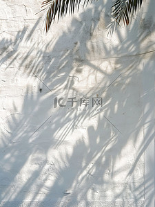 墙上背景背景图片_白墙上的日影阳光素材