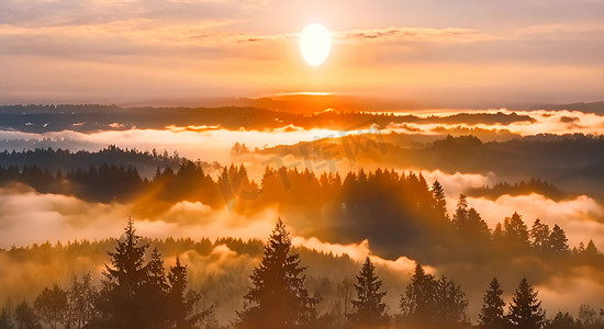 航拍日出日落光线透过树林风景AI