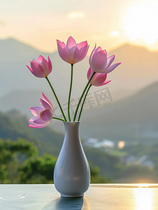 荷花插花花艺青山蓝天高清图片