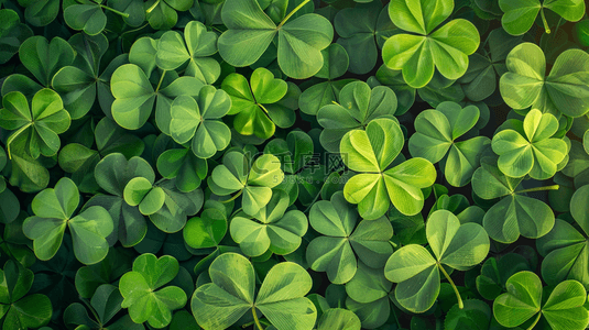 简约自然背景图片_阳光下大片绿色幸运四叶草的背景