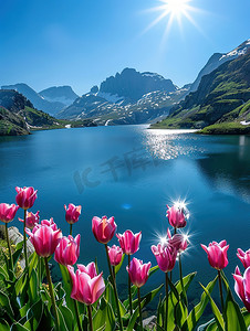 青山环绕的湖泊郁金香花开图片
