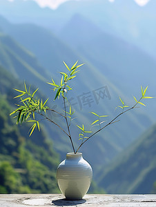 白色花瓶小竹叶插花高清摄影图