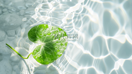 白色水纹背景图片_白色水纹水光水里绿色树叶的背景