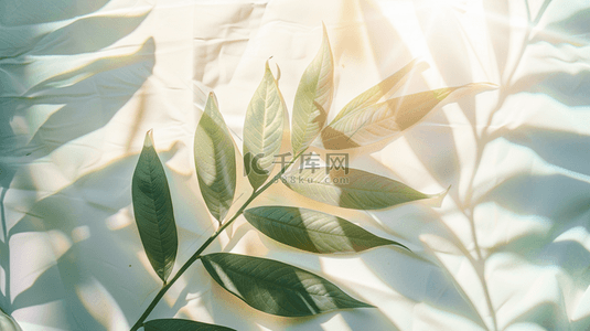 质感墙面背景图片_阳光照射下树叶叶片纹理墙面上影子的背景