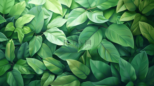 平面绿色背景背景图片_绿色清新唯美树叶叶片纹理的背景