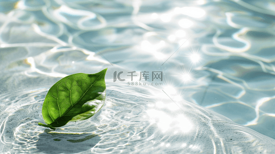 白色水纹背景图片_白色水纹水光水里绿色树叶的背景