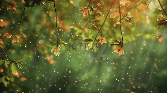 下雨背景图片_绿色森林里雨季下雨树叶树枝风景的背景