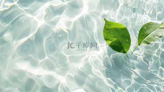 绿色树叶纹理背景背景图片_白色水纹水光水里绿色树叶的背景