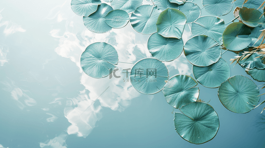 荷叶背景图片_绿色夏季水池荷叶装饰背景