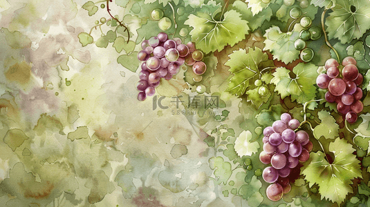 绿色水彩葡萄水果插画图片