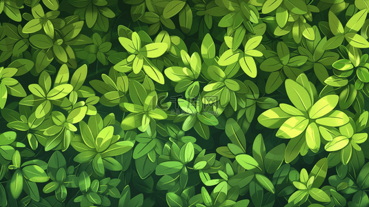 夏季绿色植物叶子装饰纹理背景
