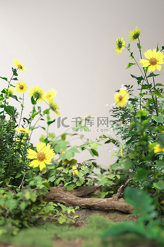 夏季植物花卉绿色3D立体背景仿摄影展台